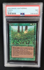 Kudzu PSA 7 NM Beta MTG Magic Graded Card